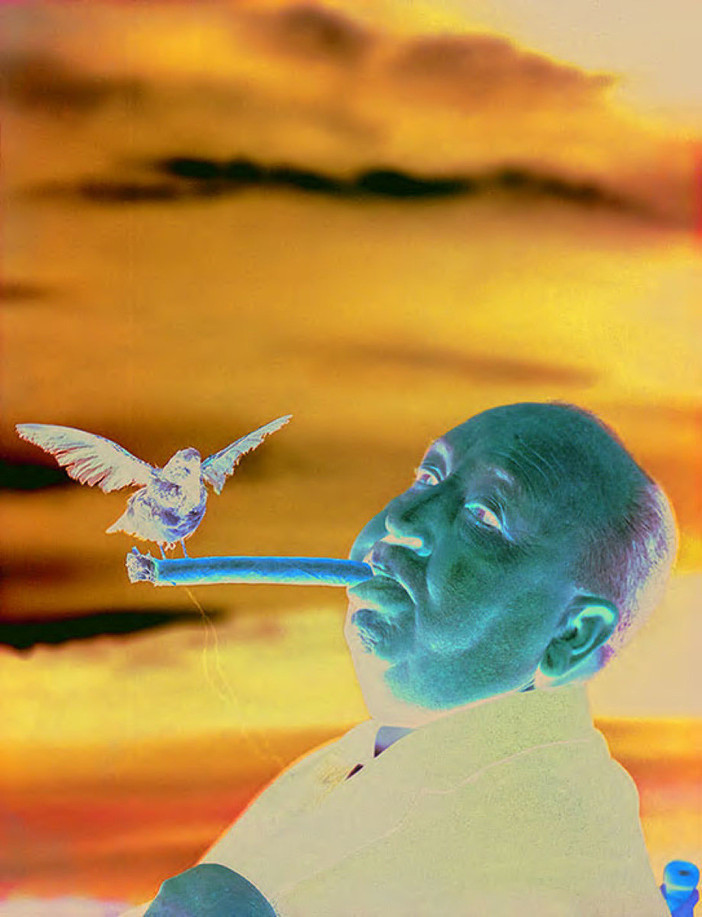 Il regista Alfred Hitchcock sul set del film Gli uccelli, 1962 © Philippe Halsman Archive 2026 Il regista Alfred Hitchcock sul set del film Gli uccelli, 1962 © Philippe Halsman Archive 2026