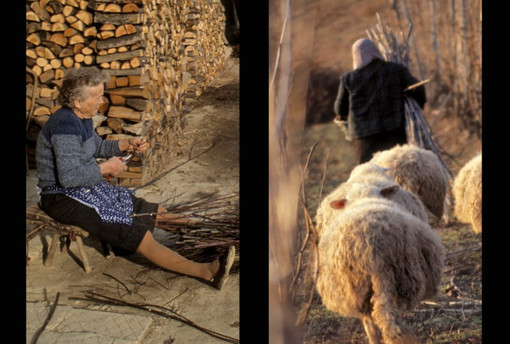 "Il lavoro e la storia: le Langhe": sabato 21 marzo ad Alba un incontro sulla metamorfosi di una terra