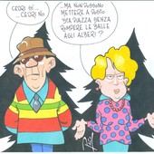 LA CITTA' DEI CEDRI LA CITTA' DEI CEDRI