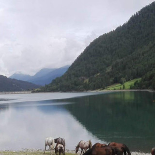Giornata Mondiale dell’Acqua, quest'anno il tema è "Water and Gender" Giornata Mondiale dell’Acqua, quest'anno il tema è "Water and Gender"
