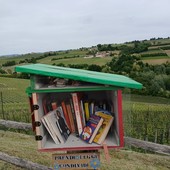 Novello porta i libri nelle frazioni: a Bergera nasce una nuova casetta della lettura Novello porta i libri nelle frazioni: a Bergera nasce una nuova casetta della lettura