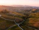 Nuovi vertici per Visit Piemonte. La presidenza resta in provincia di Cuneo (in foto uno scorcio delle Langhe dalle pagine dello stesso portale di promozione turistica) Nuovi vertici per Visit Piemonte. La presidenza resta in provincia di Cuneo (in foto uno scorcio delle Langhe dalle pagine dello stesso portale di promozione turistica)