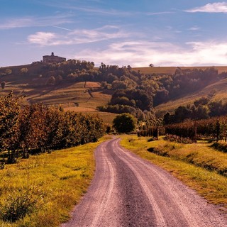 Un paesaggio autunnale nelle Langhe (Langhe Experience)