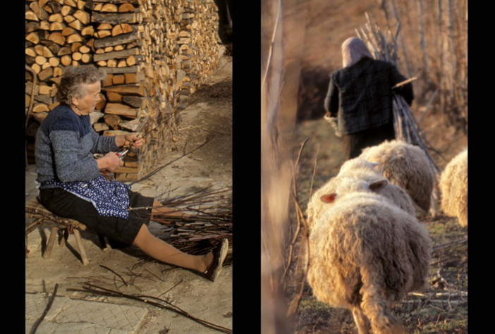 "Il lavoro e la storia: le Langhe": sabato 21 marzo ad Alba un incontro sulla metamorfosi di una terra
