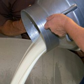 Latte, in Piemonte cresce la produzione ma i prezzi restano sotto i livelli del 2025 Latte, in Piemonte cresce la produzione ma i prezzi restano sotto i livelli del 2025