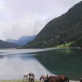 Giornata Mondiale dell’Acqua, quest'anno il tema è "Water and Gender" Giornata Mondiale dell’Acqua, quest'anno il tema è "Water and Gender"
