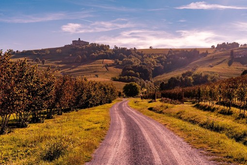 Un paesaggio autunnale nelle Langhe (Langhe Experience) Un paesaggio autunnale nelle Langhe (Langhe Experience)