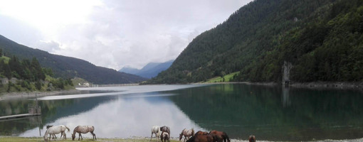 Giornata Mondiale dell’Acqua, quest'anno il tema è "Water and Gender"
