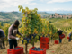 La Regione ha stanziato, nei giorni scorsi, 73 mila euro per sostenere interventi di sistemazione temporanea dei lavoratori agricoli stagionali La Regione ha stanziato, nei giorni scorsi, 73 mila euro per sostenere interventi di sistemazione temporanea dei lavoratori agricoli stagionali