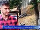 Castanicoltura, Bozzolo (Cia Cuneo) al Tg1: "L’Italia importa oltre metà del fabbisogno, occorre recuperare i castagneti abbandonati" Castanicoltura, Bozzolo (Cia Cuneo) al Tg1: "L’Italia importa oltre metà del fabbisogno, occorre recuperare i castagneti abbandonati"