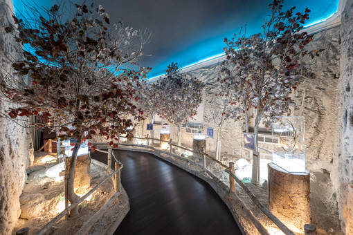 Grande festa a Cherasco per i 13 anni del Museo della Magia