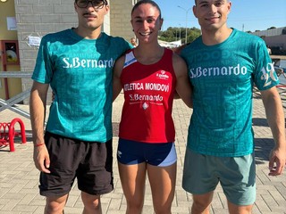 Martinelli, Torchio, Viotti