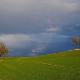 Foto di Karl Egger da Pixabay