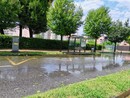 Gli alberi di corso Europa Gli alberi di corso Europa