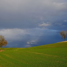 Foto di Karl Egger da Pixabay