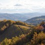 Monferrato (credits Masoero per Ente turismo)