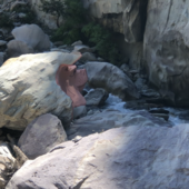 Il "Maialino" rosa della Val Roya, simbolo di resilienza di una comunità