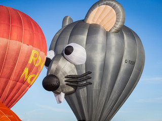 Fotografie di Valerio Giraudo