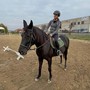 Sportabili Alba porta il Carnevale a cavallo in maschera al Maneggio Equi di Roddi