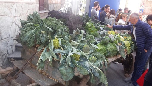 A Margarita torna la Sagra d’l Coj: tre giorni di festa, tradizione e sapori per la 21ª edizione A Margarita torna la Sagra d’l Coj: tre giorni di festa, tradizione e sapori per la 21ª edizione