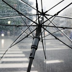 IL METEO / Qualche giorno di maltempo. Piogge diffuse su Alpi e Liguria