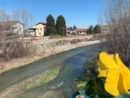 Il fiume Maira a Savigliano