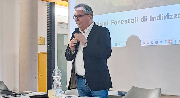 Giornata nazionale delle foreste: "I boschi piemontesi sempre più al centro delle politiche regionali" Giornata nazionale delle foreste: "I boschi piemontesi sempre più al centro delle politiche regionali"