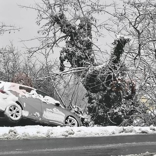 Un'auto fuori strada sulla Provinciale 50 tra Baraccone e Castagnito
