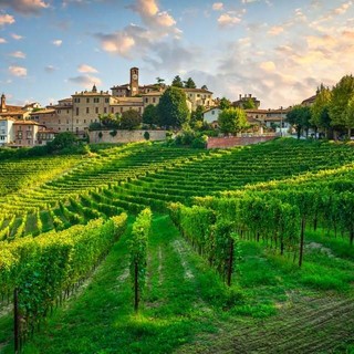 Neive accende la Notte di San Lorenzo con “Il Borgo dei Desideri”: spettacoli e magia tra le vie del centro storico