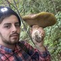 Un porcino da oltre due chili nei boschi di Dronero Un porcino da oltre due chili nei boschi di Dronero