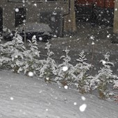 Nessuna tregua: da domani nuova perturbazione e forte maltempo sulle Alpi