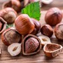 “Sapere i Sapori”: il FAI Cuneo celebra la nocciola, il frutto che disegna i paesaggi della nostra identità