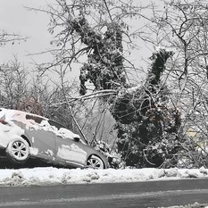 Un'auto fuori strada sulla Provinciale 50 tra Baraccone e Castagnito Un'auto fuori strada sulla Provinciale 50 tra Baraccone e Castagnito