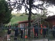 Alba, un albero caduto sulla sede dell’Associazione Carabinieri di corso Enotria