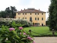 Ortensie a Villa Doria il Torrione to by RCastrini