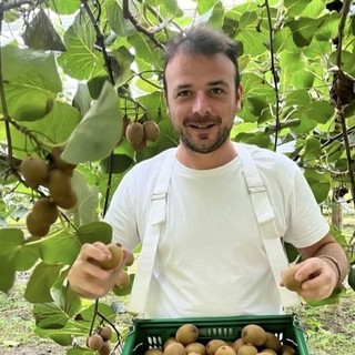 Kiwi giallo Haegeum, la nuova frontiera della frutticoltura piemontese