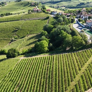Castiglione Falletto investe sulla biodiversità: i prati di San Lorenzo come spazio vivo tra natura e comunità
