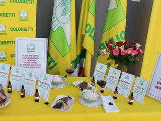 Pericoli sulle tavole Pericoli sulle tavole