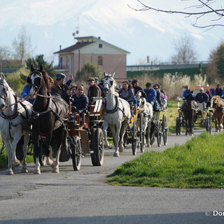 Paradriving, in carrozza da Cuneo a Torino: torna la staffetta dell'inclusione con cavalli e comunità