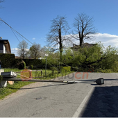 Forte vento a Savigliano: albero di 20 metri cade in Strada Sanità Forte vento a Savigliano: albero di 20 metri cade in Strada Sanità