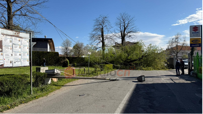 Forte vento a Savigliano: albero di 20 metri cade in Strada Sanità
