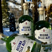 Regina delle Alpi: una storia che profuma di montagna dal 1890