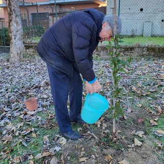 La piantumazione dell'albero, lo scorso sabato 28 novembre