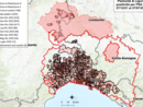 Peste suina: sette nuovi positivi tra cinghiali in Piemonte e Liguria