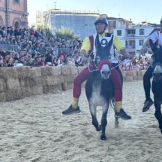 Dal Palio degli Asini all'Ottobrata, un weekend ricco di sagre ed eventi in tutta la Granda Dal Palio degli Asini all'Ottobrata, un weekend ricco di sagre ed eventi in tutta la Granda