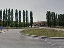Pioppi da abbattere nell'area industriale di Montà, Italia Nostra: "Si proceda con cautela"