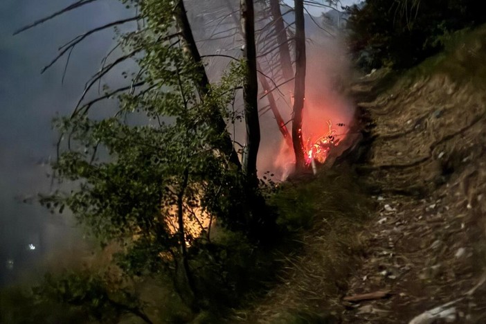 Emergenza incendi boschivi e siccità: la Regione estende all'intero Piemonte lo stato di emergenza regionale Emergenza incendi boschivi e siccità: la Regione estende all'intero Piemonte lo stato di emergenza regionale