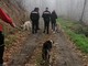 I tre cani sequestrati a Pramollo I tre cani sequestrati a Pramollo