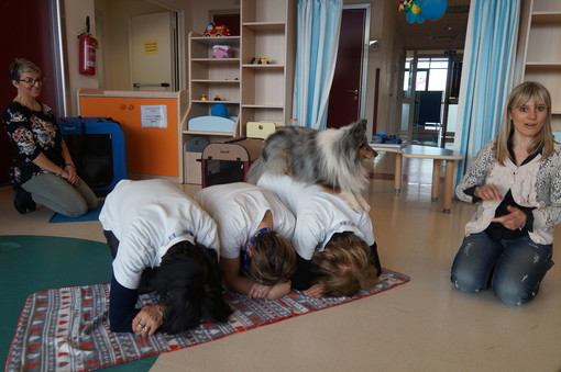Visite a quattrozampe in Pediatria: avviata a Mondovì l'attività di pet therapy (FOTO e VIDEO)
