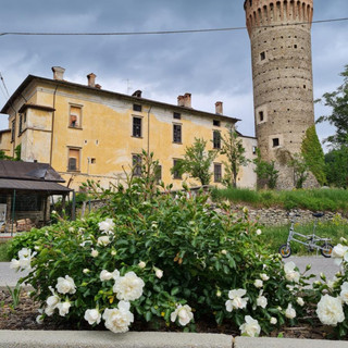 “Ti Regalerò Una Rosa”: Il Comune di Priero avvia un’iniziativa  di adozione simbolica per diffondere bellezza e cura nel paese